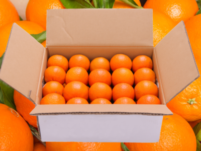 carton oranges